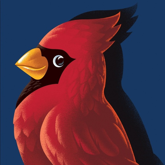 Meet your Posher, Jamie - Picture 1 of 1